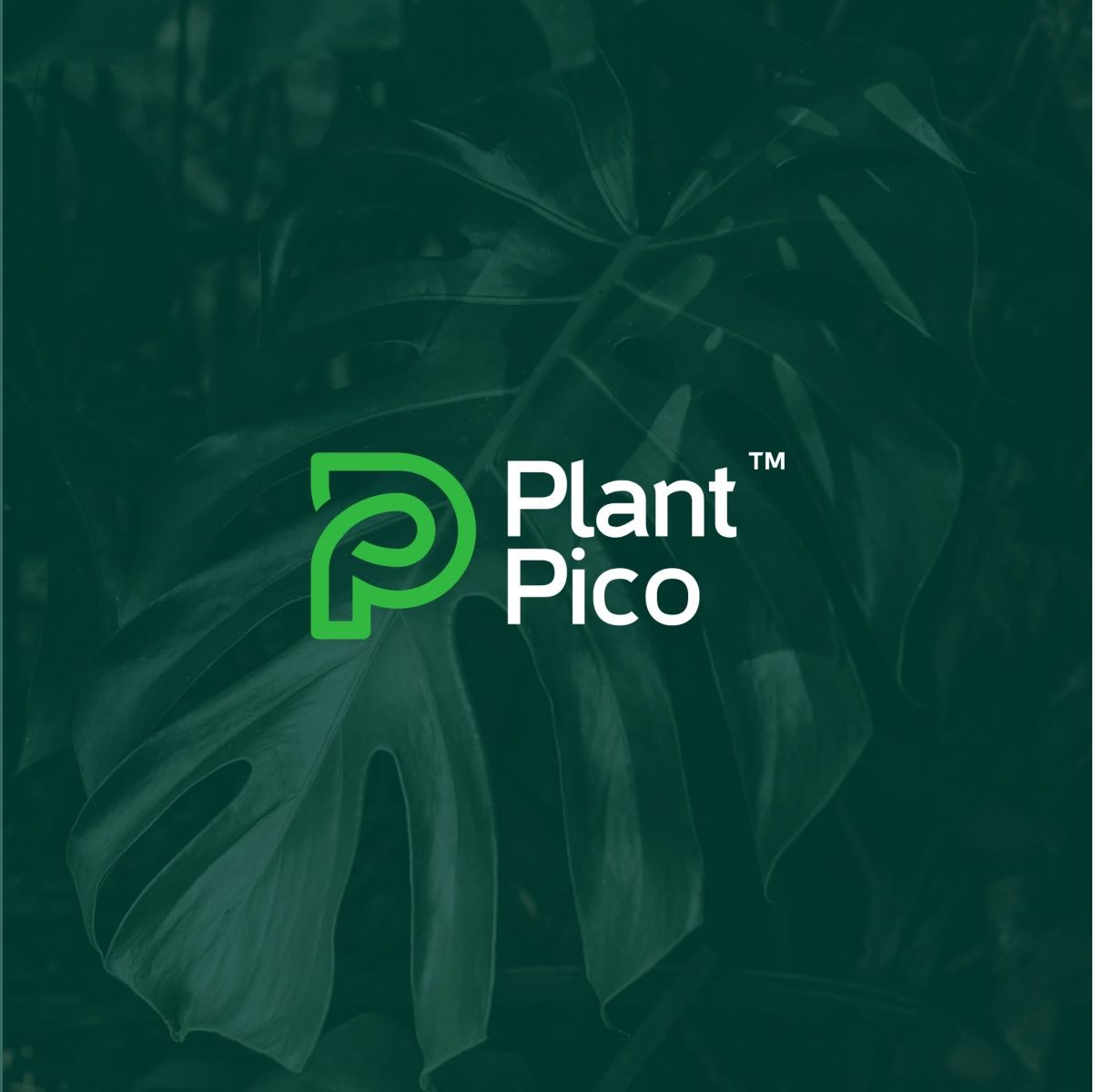 PlantPico Coupons and Promo Code